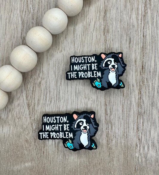 Houston I Might Be The Problem Raccoon Silicone Focal Beads